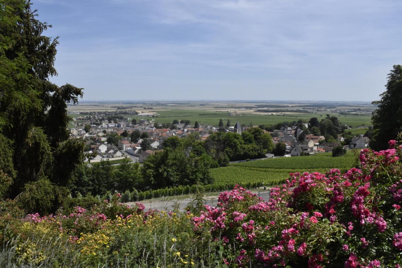 Gite Villa Paul Avize Buitenkant foto