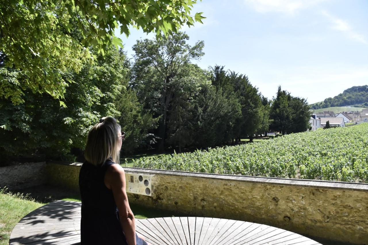Gite Villa Paul Avize Buitenkant foto
